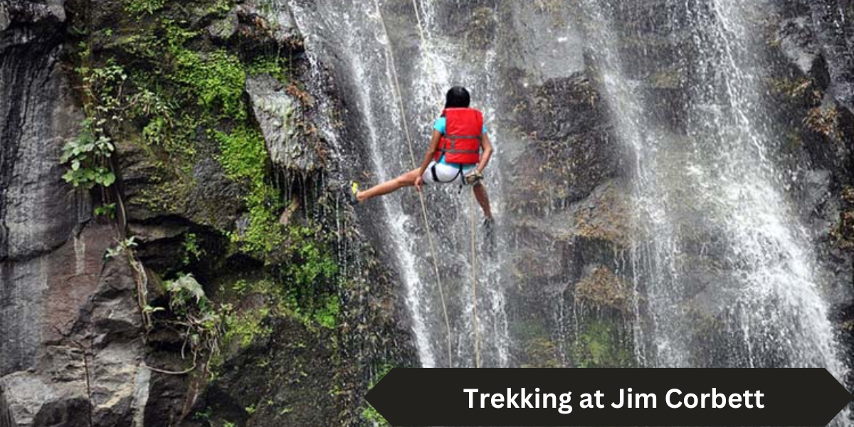 Rock Climbing in Jim Corbett Pak